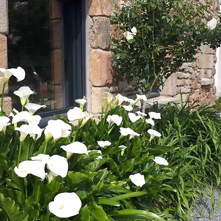 بيت ضيافة Agapanthe & Salicorne - Maison D'hotes, D'hotes- *